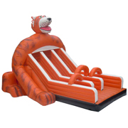 big inflatable slide